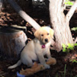 Meet your Posher, Nola